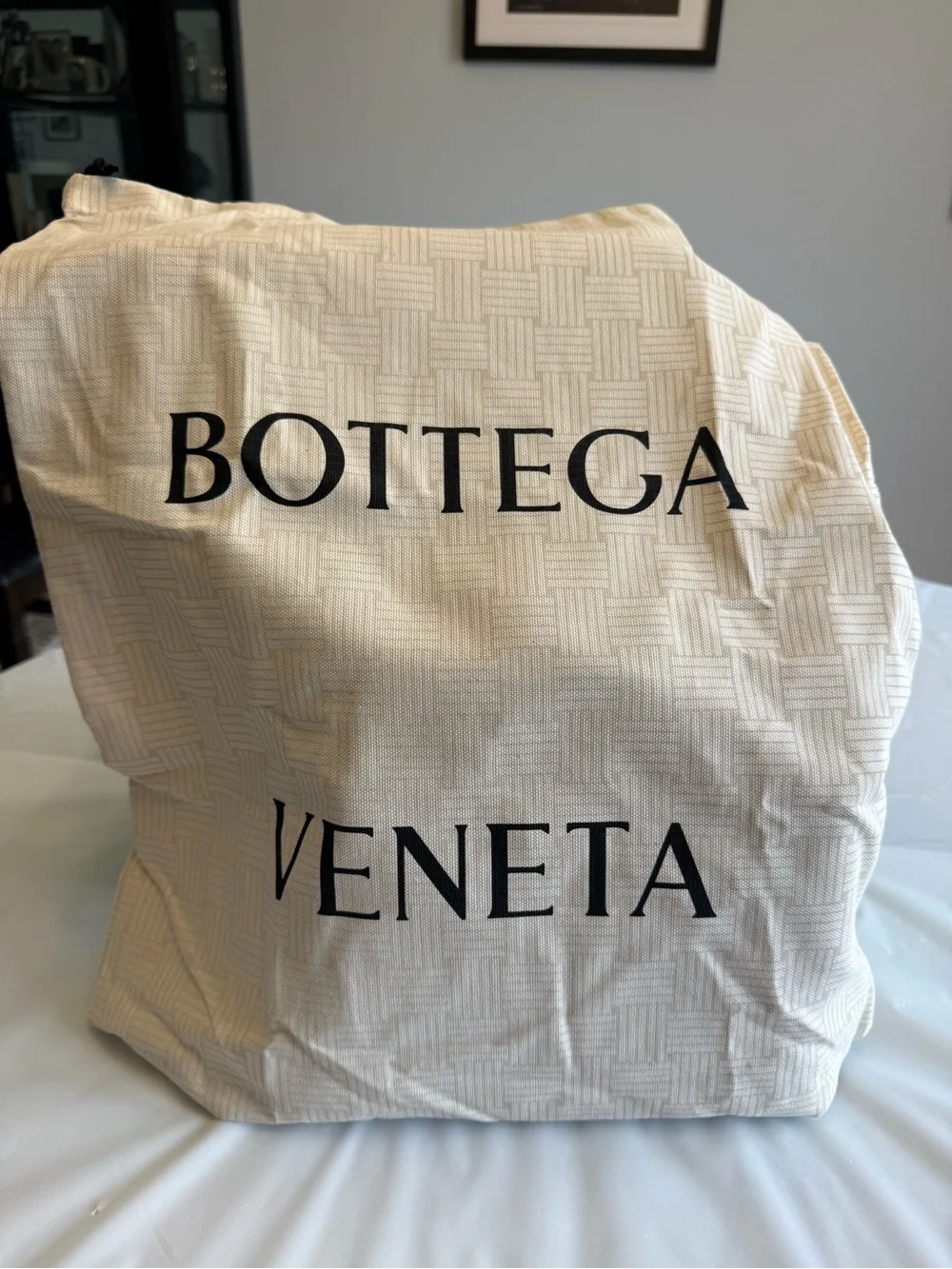 Bottega Veneta Green Python Bag Rare Only 15 made NEW Milan - unavailable in US